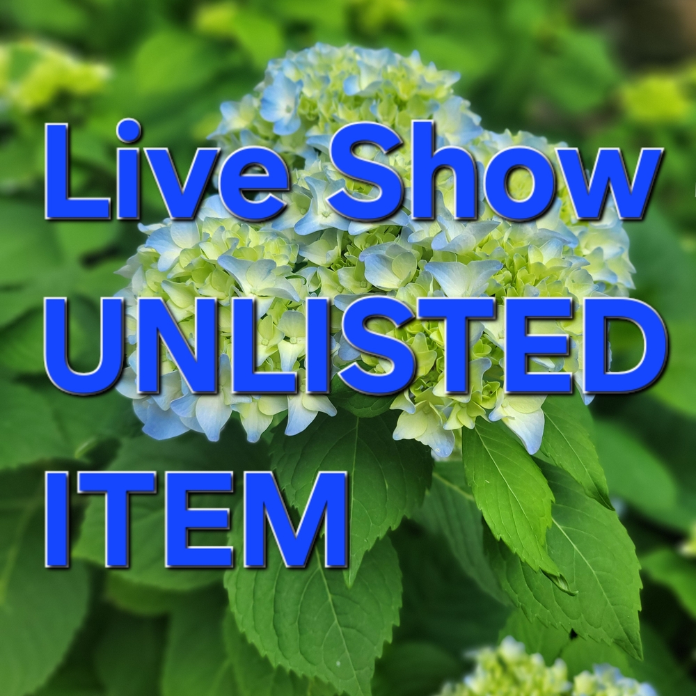 Hydrangea Flower Arrangement